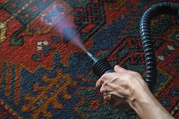 قالیشویی